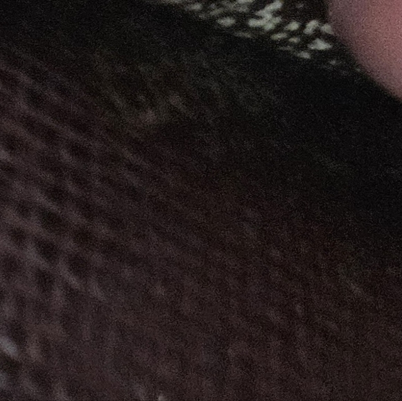 VINTAGE LOUIS VUITTON TAIGA AGENGA (1998) - Picture 7 of 8